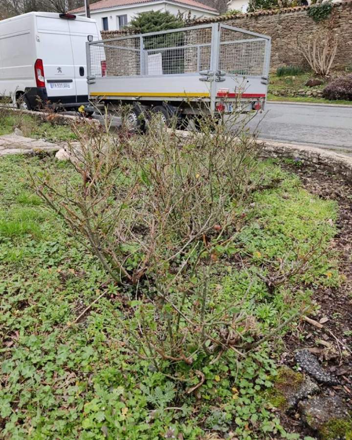 Jardinier-paysagiste à Les Herbiers