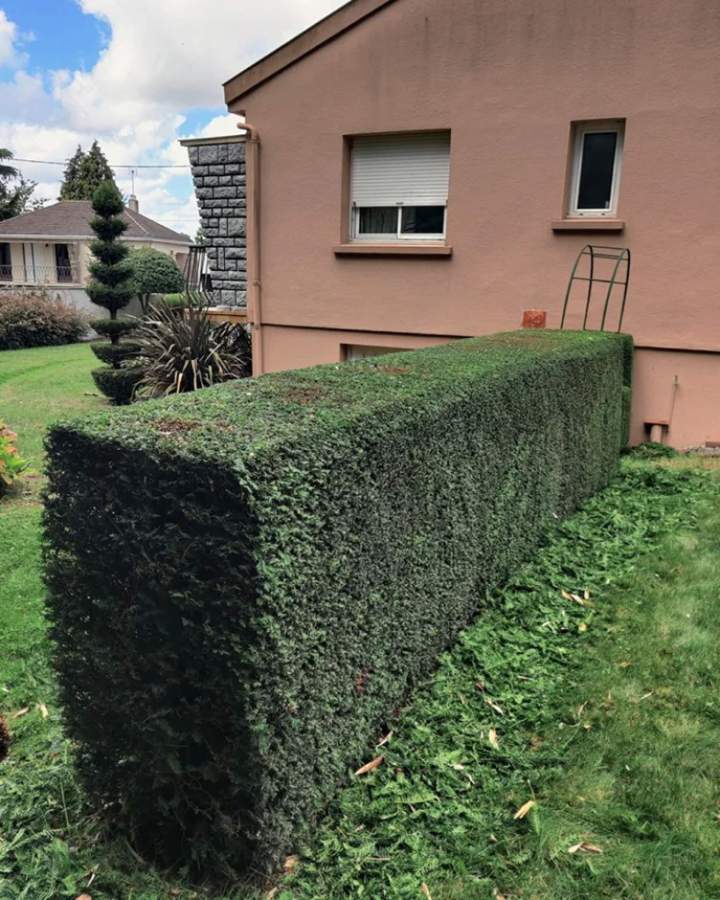 Prestations de jardinage à Les Herbiers