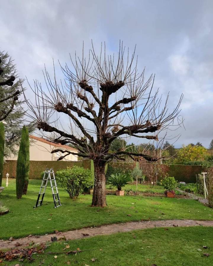 Aide à domicile pour le jardin à Les Herbiers