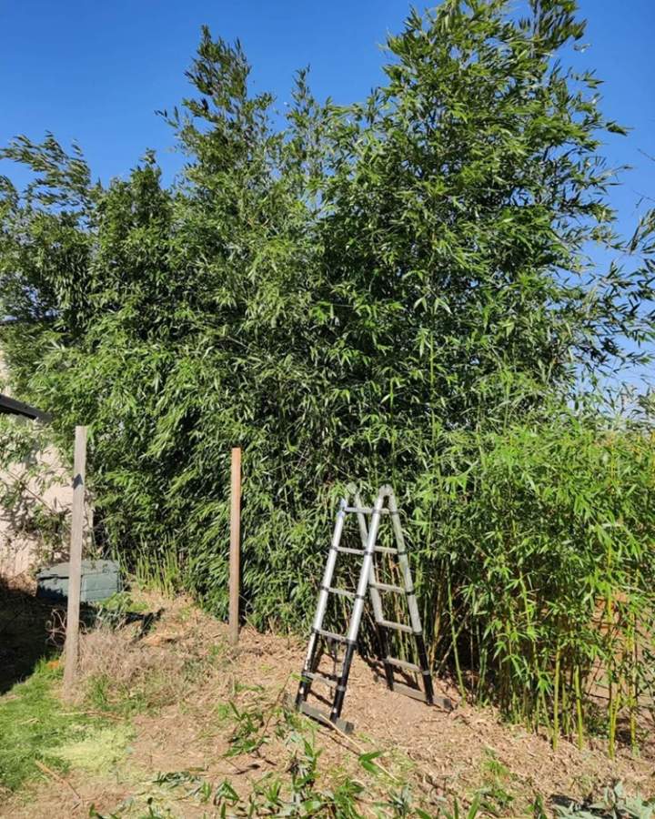Jardinier-paysagiste à Les Herbiers