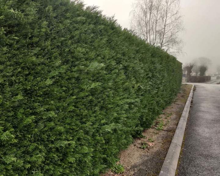 Jardinier-paysagiste à Les Herbiers