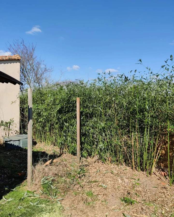 Services de jardinage à Les Herbiers