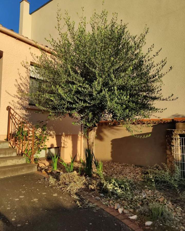 Travaux de jardinage à Les Herbiers