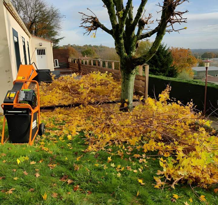 Entretien d'espaces verts à Les Herbiers