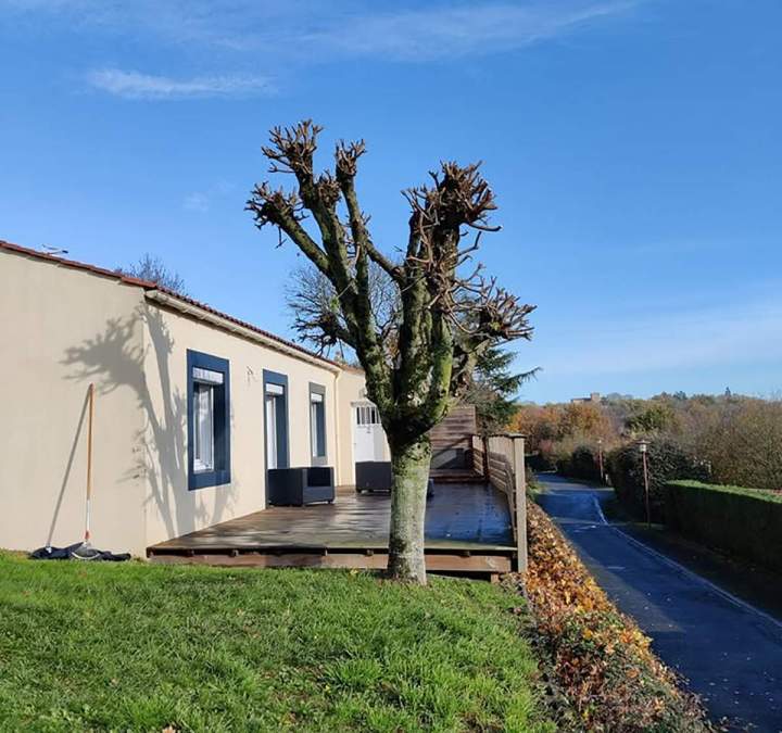 Petit élagage Les Herbiers