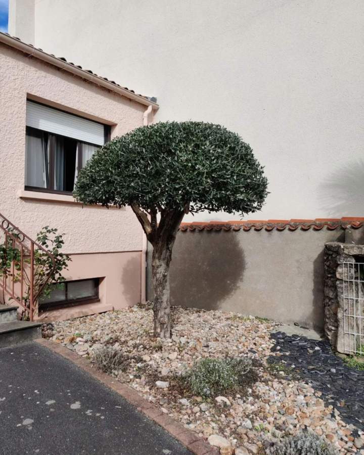 Aide à l'entretien de jardin à Les Herbiers