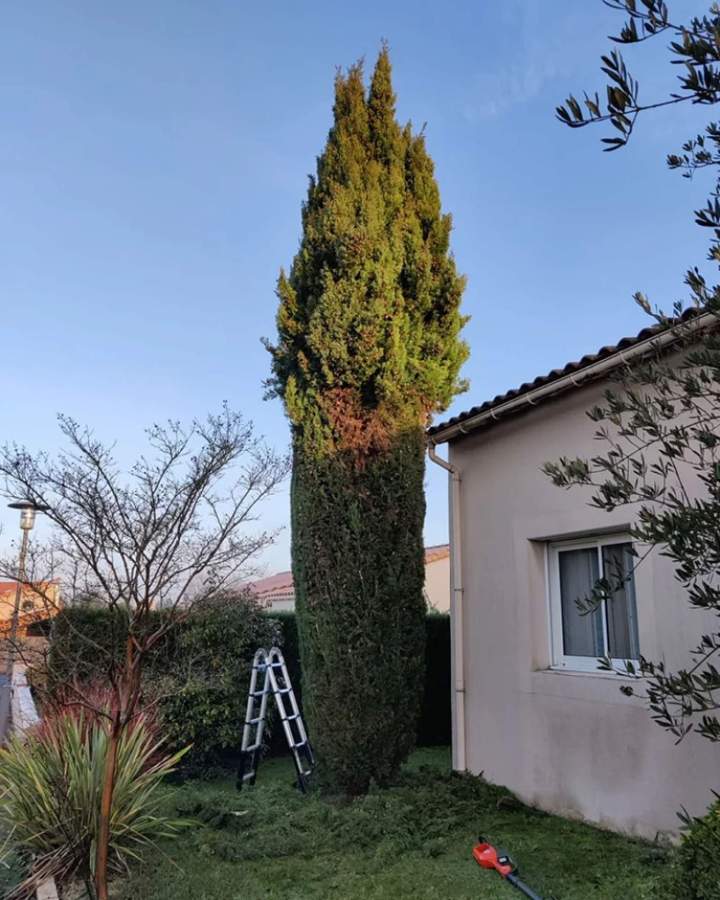 Entretien d'espaces verts à Les Herbiers