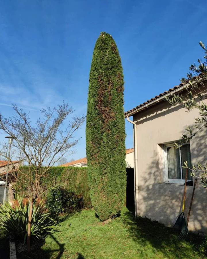 Prestations de jardinage à Les Herbiers