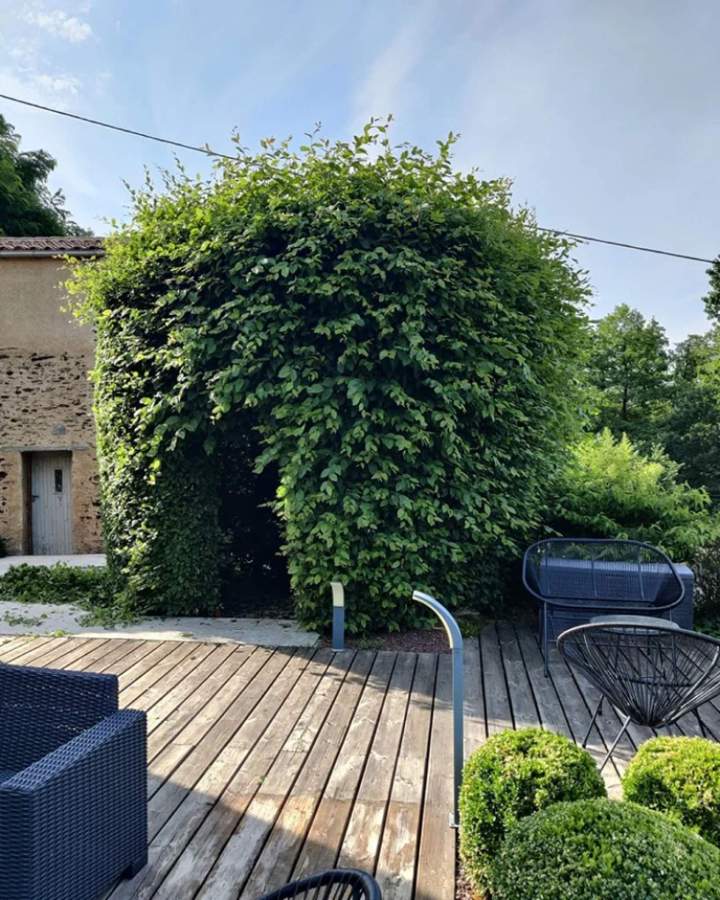 Taille de haies et tontes de pelouse à Les Herbiers