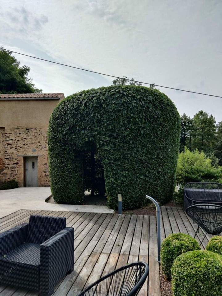 Aide à domicile pour le jardin à Les Herbiers