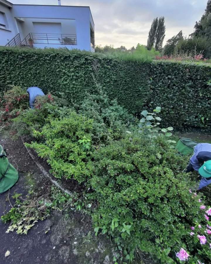 Jardinier pour particuliers à Les Herbiers