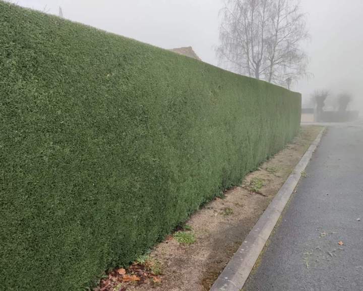 Jardinier paysagiste à Les Herbiers