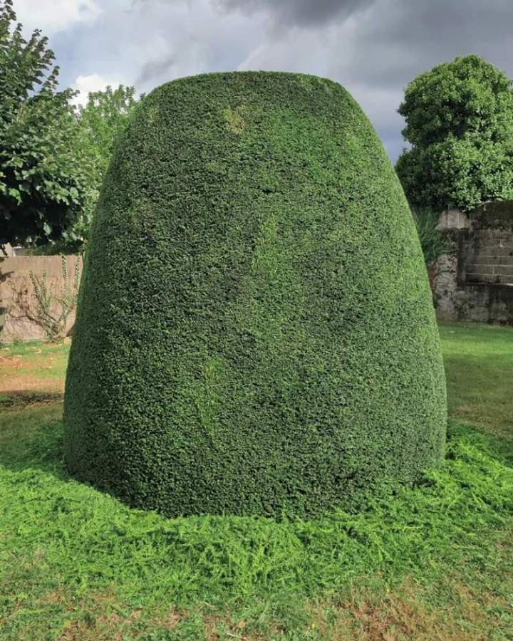 Travaux de jardinage à Les Herbiers